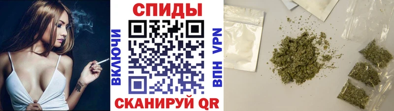 продажа наркотиков  Мураши  МЕГА зеркало  Бутират вода 