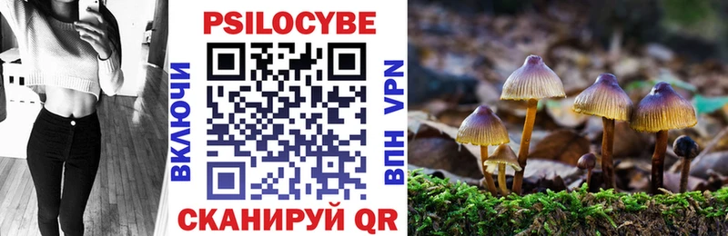 Галлюциногенные грибы Cubensis  цена наркотик  Мураши 